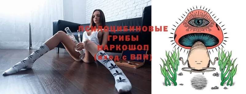 Псилоцибиновые грибы MAGIC MUSHROOMS  Рыльск 